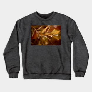 Visible Peace - an Olive Branch Crewneck Sweatshirt